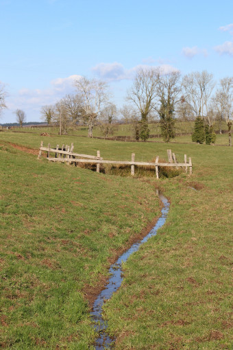 Exemple de rigole d'irrigation - © CAUE 71